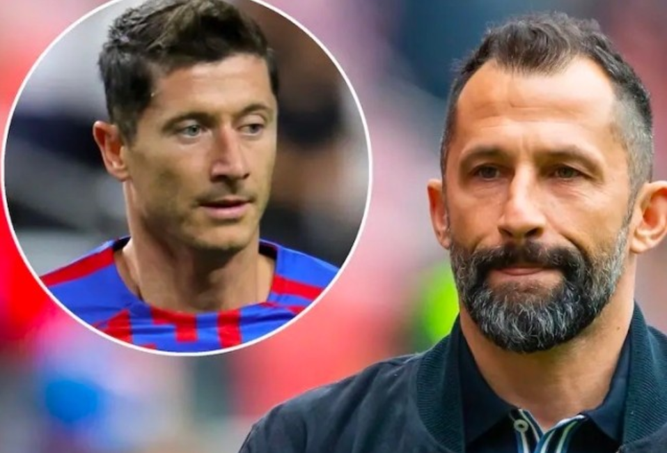 表面上是为 表面上是为