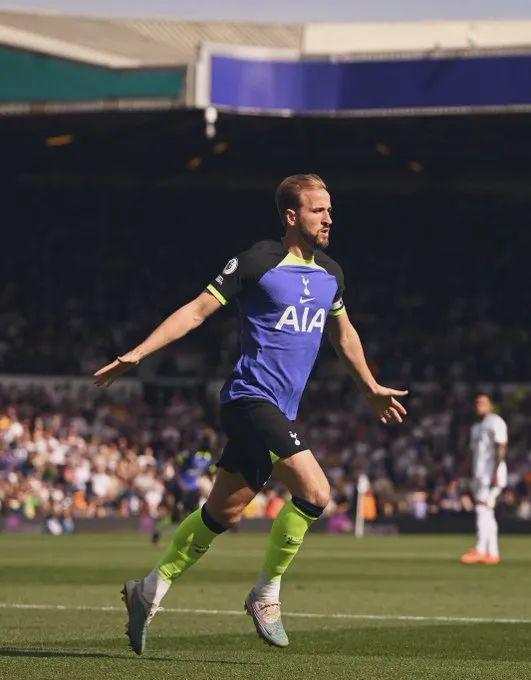 提供了丰富 提供了丰富