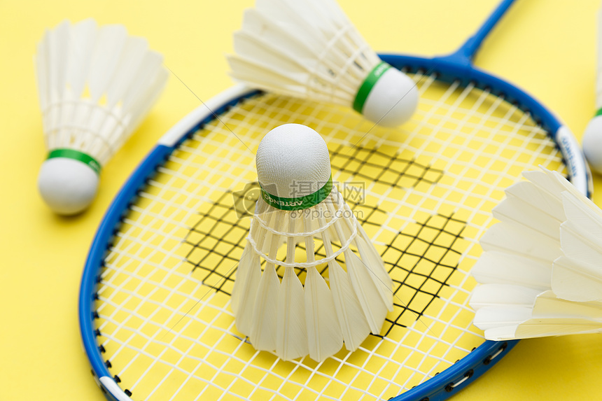 队体系的案 队体系的案